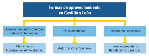Formas de aprovechamiento en Castilla y León