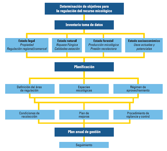 Determinación de objetivos para la regulación del recurso micológico