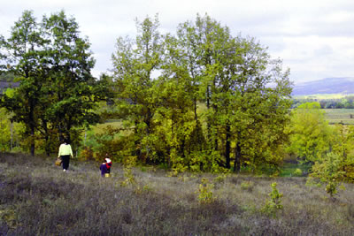 Robledales