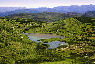 Turberas