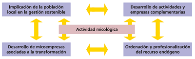 Actividad micológica.