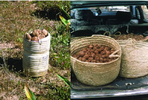 La comercialización de “criadillas” o trufas del desierto supone una fuente de ingresos importante para el medio rural.