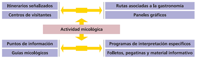 Actividad Micológica.